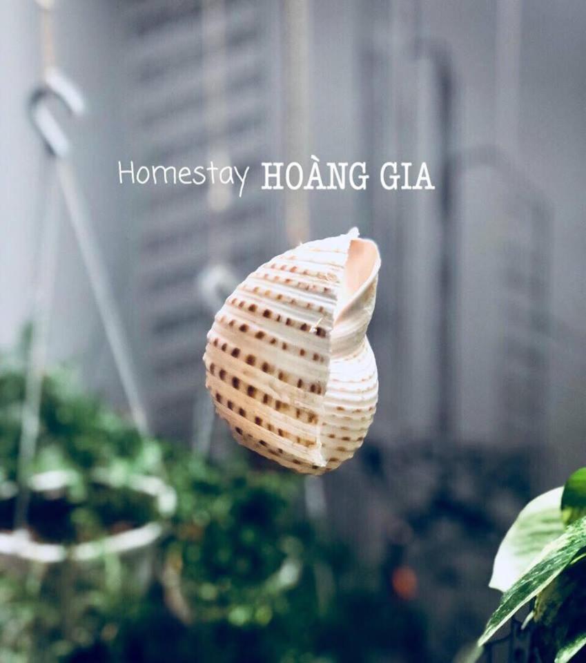 Homestay Hoang Gia Quy Nhon Exteriér fotografie